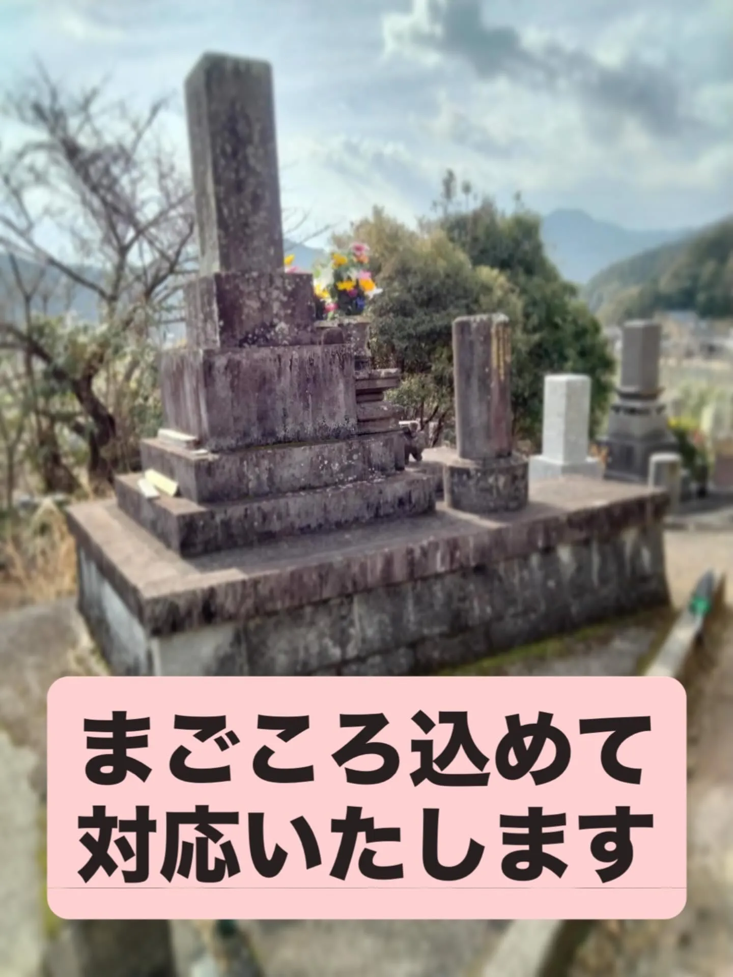 「お墓じまい」は、家族やご先祖様への感謝を込めた新たなスター...