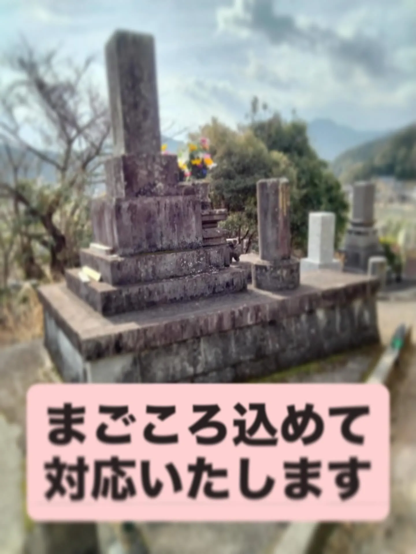 「お墓じまい」は、家族やご先祖様への感謝を込めた新たなスター...