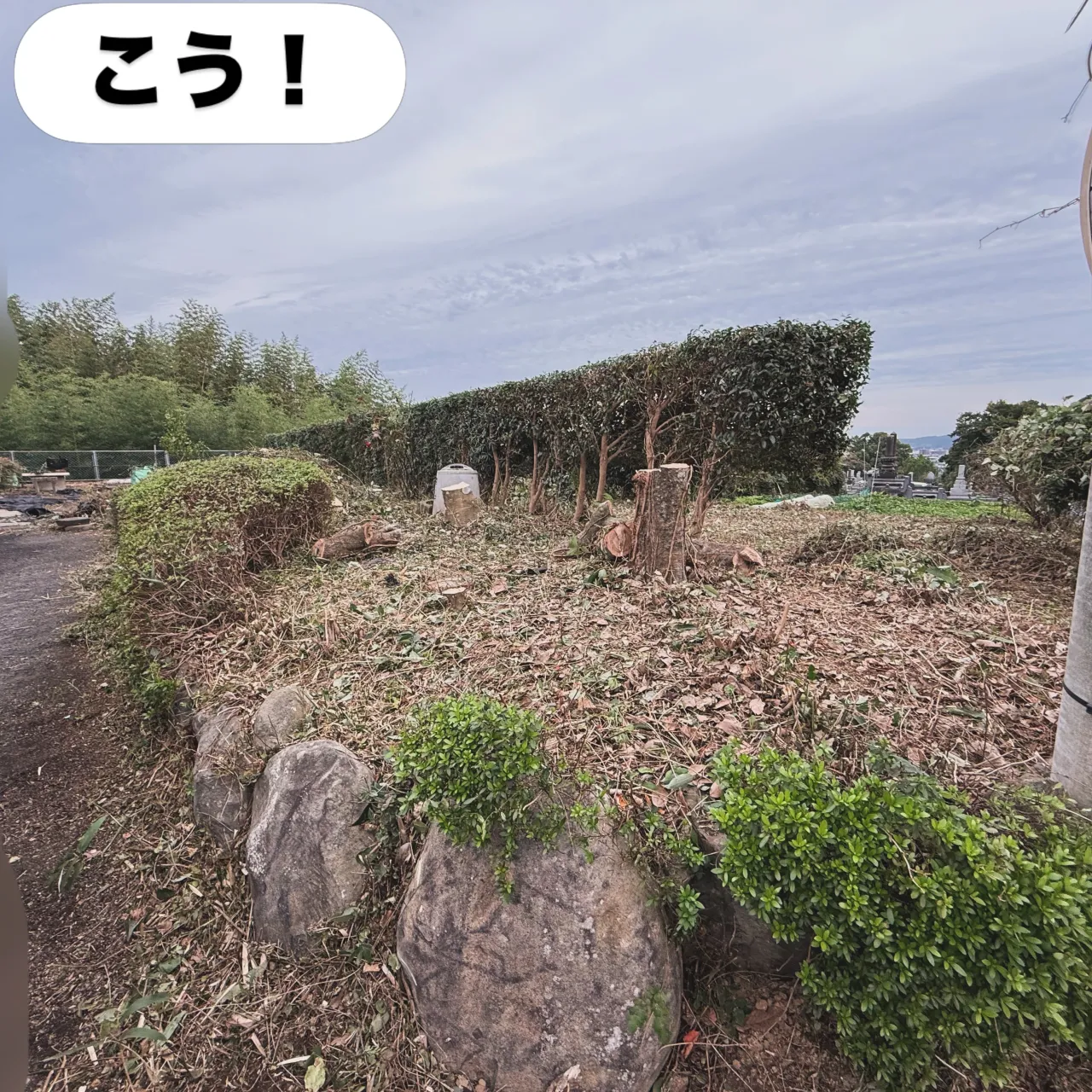 🌿【お庭のお困りごと、まごころが解決します！】🌿