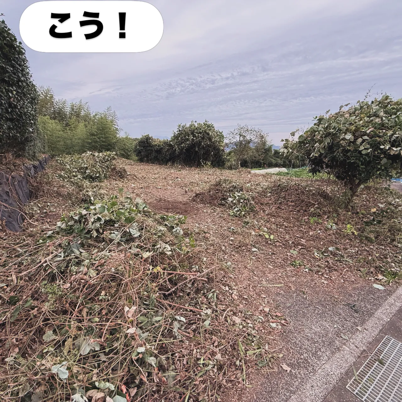 🌿【お庭のお困りごと、まごころが解決します！】🌿