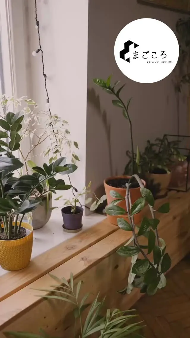 不要な物はすぐに捨てたいと思っても、どのタイミングで手放すべ...