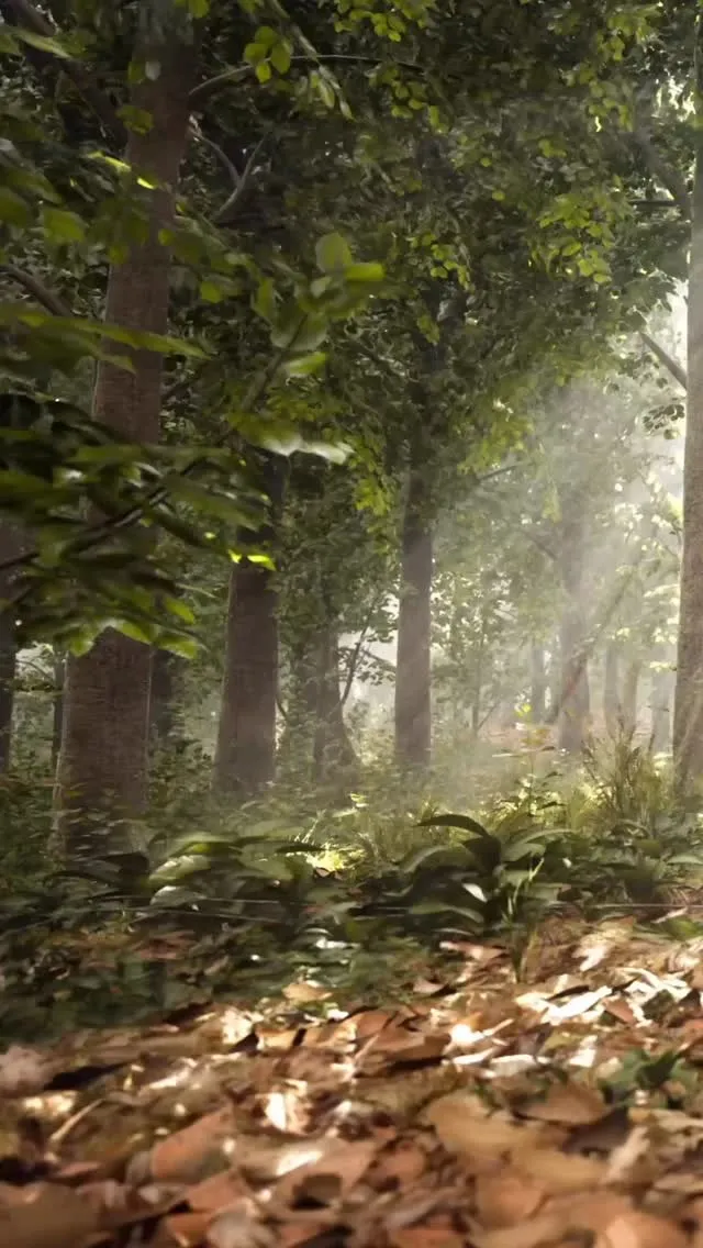 亡くなった方を偲ぶ供養の方法は多様で、お墓そのもののあり方も...